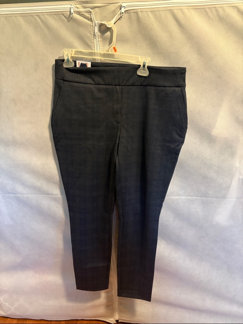 Dalia Woman’s Navy Dress Pants